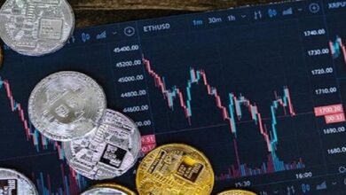 Блокчейн сеть Stripe тестируют с Anthropic, OpenAI для ИИ-агентов и не только