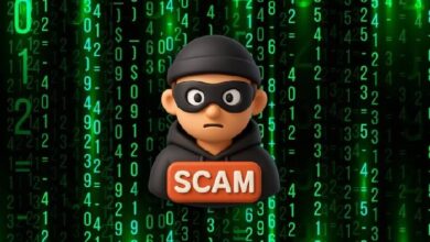 Фишинговые атаки в августе нанесли пользователь ущерб на сумму ,17 млн