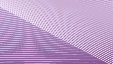 Hashgraph Group запускает TransAct на Hedera