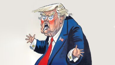 Сотрудник Polygon обвинил проект Трампа World Liberty Financial в краже средств