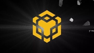 BNB Chain обновил рекорд по числу активных адресов