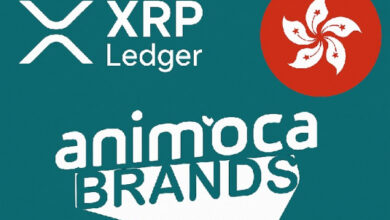 DL Holdings токенизирует долю в Animoca Brands через фонд на базе XRP Ledger
