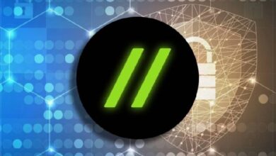 Эксперты Halborn: в секторе Web3 усиливаются меры защиты цифровых активов