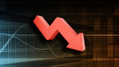 Микаэль ван де Поппе заявил о просадке своего портфеля альткоинов на 60%