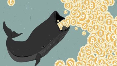 Биткоин-киты, университеты и банки называют это «распродажей», розница — катастрофой