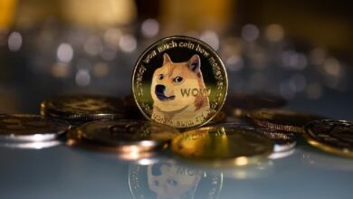 Bitwise готовится к запуску спотового ETF Dogecoin, раскрывает тикер и комиссии