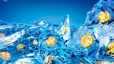 Исследование Bybit: 16 крупных блокчейнов могут замораживать средства пользователей