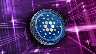 Известный журналист назвал Cardano самой надежной архитектурой для спасения сектора DeFi после взлома Balancer
