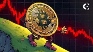 VanEck отмечает рост волатильности биткоина и снижение данных в блокчейне