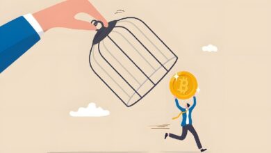 48 стран запускают единую систему налогового контроля криптовалют