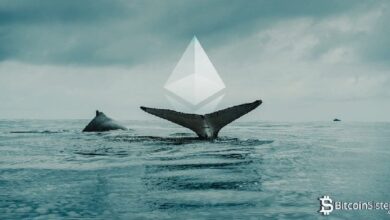 Раскрыт скрытый сигнал о том, что крупные игроки (киты) накапливают Ethereum по цене ниже 400 долларов!