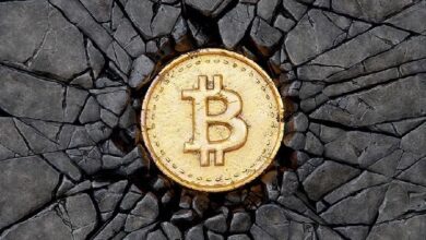 Сколько стоит добыть биткоин: заработок на майнинге в 2026 году