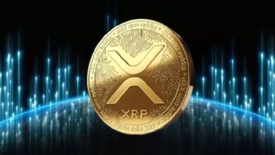 Владельцы XRP возмущены комментарии бывшего технического директора Ripple о цене XRP в 0.