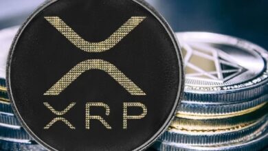 Казначейская компания XRP делает важное заявление: «Недавнее решение в США идеально подходит для XRP»