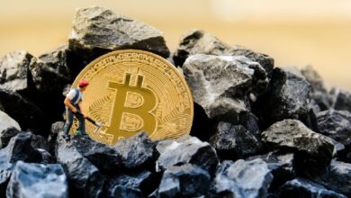 Компании, занимающиеся майнингом биткоинов, все чаще переориентируются на сектор искусственного интеллекта