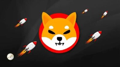 Сжигание мемкоинов SHIB участилось почти на 50%