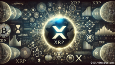 Дэвид Шварц опроверг теории заговора вокруг XRP и скрытых планов правительств