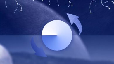 Base перейдет на гибридную модель с ZK-верификацией транзакций