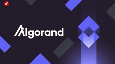 Algorand готовится к квантовой эре: блокчейн объявил масштабное обновление безопасности до 2027 года