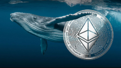 Крупный инвестор в Ethereum продолжает скупать криптовалюту, совершив крупные покупки этой монеты наряду с ETH! Вот подробности