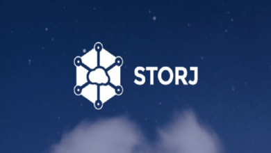 Привлекшая  млн инвестиций Storj Labs подала заявление о банкротстве