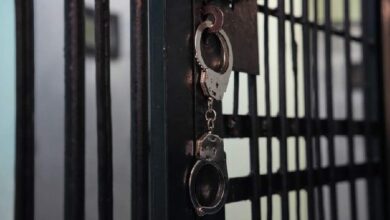 Шаткое «Благополучие»: организатора финансовой пирамиды отправили в колонию на 12 лет
