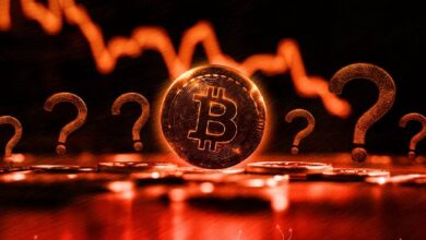 Разработчик указал на риск потери биткоинов из-за BIP-110