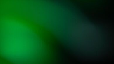 BVNK добавила Stellar в платформу для стейблкоин-платежей