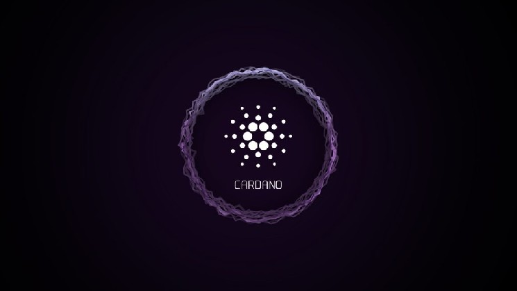 
			Разработчики Cardano (ADA) сделали важное новое объявление!		