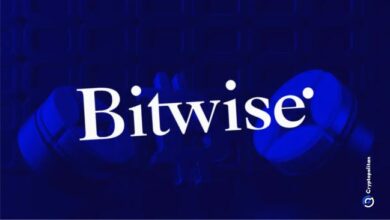 CIO Bitwise: биткоин выигрывает во всех трех сценариях на фоне растущих макроэкономических рисков