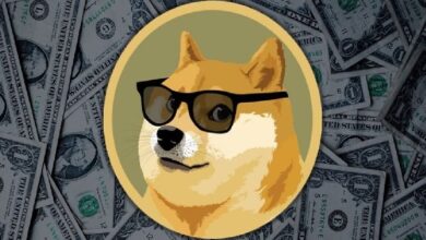 Для Dogecoin начинается новая эра: запущена сеть смарт-контрактов на базе DOGE!