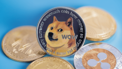 Dogecoin Wallet и команды приложений объединяются, чтобы дать DOGE больше возможностей для повседневного использования Dogecoin Wallet и команды приложений объединяются, чтобы дать DOGE больше возможностей для повседневного использования