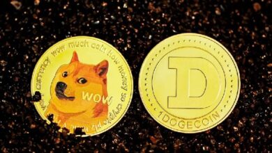 ETF Dogecoin: Огромное разочарование: Почему миллионы инвесторов DOGE не проявили интереса? Вот подробности ETF Dogecoin: Огромное разочарование: Почему миллионы инвесторов DOGE не проявили интереса? Вот подробности