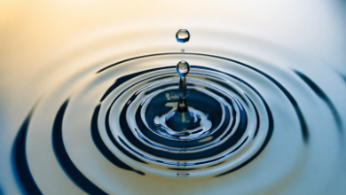 Ripple поддержала инициативу SEC по новым правилам для криптовалют Ripple поддержала инициативу SEC по новым правилам для криптовалют