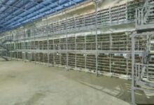 В России сократилось количество майнеров