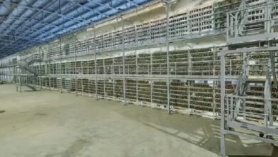 В России сократилось количество майнеров В России сократилось количество майнеров